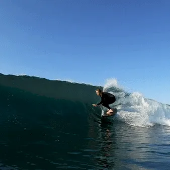 6'4 R-Series | Pleasant Pheasant