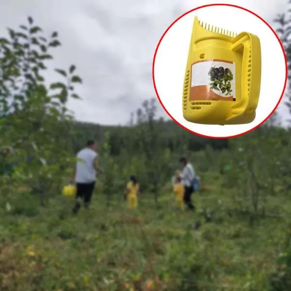 Fruvio - Berry fruits picker