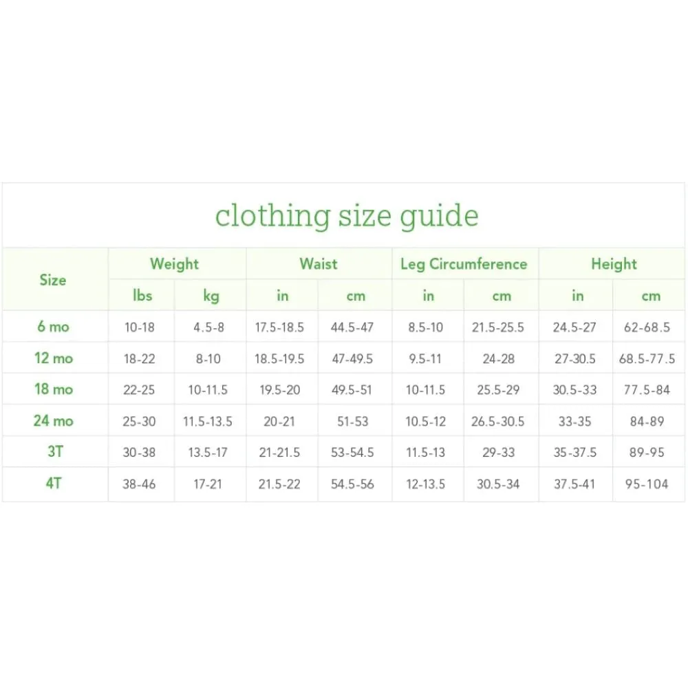 Green Sprouts Ruffle Snap Reusable Absorbent Swimsuit Diaper (White Zinnia-3T)