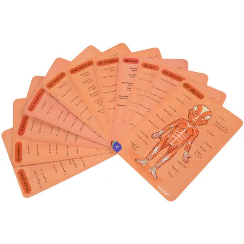 Magnetic Body Puzzle - Learn about the Body