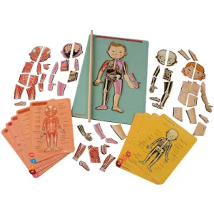 Magnetic Body Puzzle - Learn about the Body