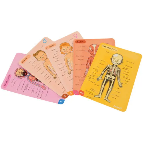 Magnetic Body Puzzle - Learn about the Body
